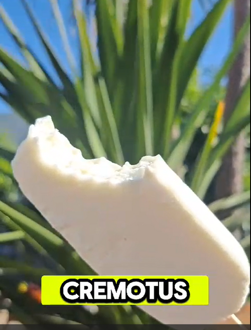 Caja de paletas Cremotus  / 55g./Caja de 30 unidades ((20 % Descuento adicional))