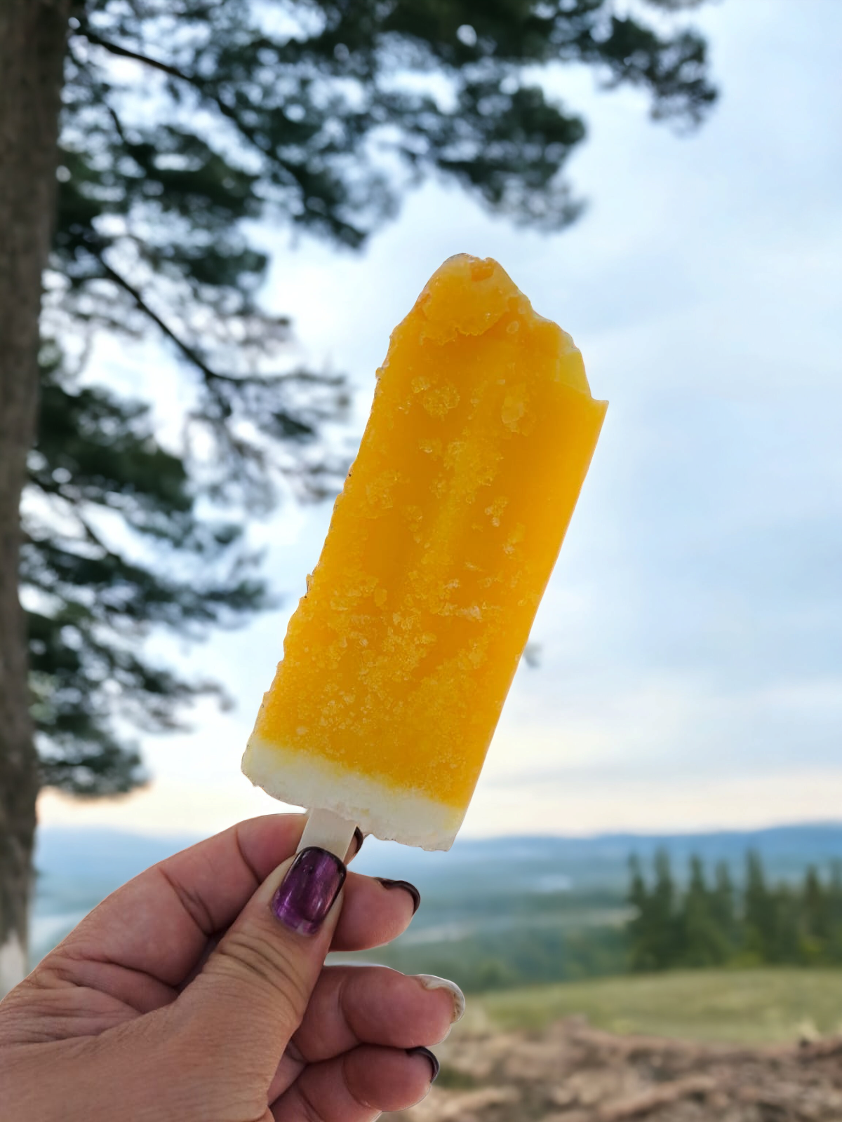 Cajas de Paletas de Maracuyá Crema (48 paletas)