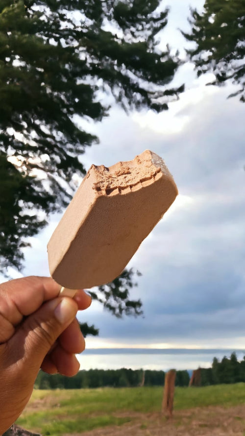 Caja de paletas  Chocotus  / 55g./ 30 unidades