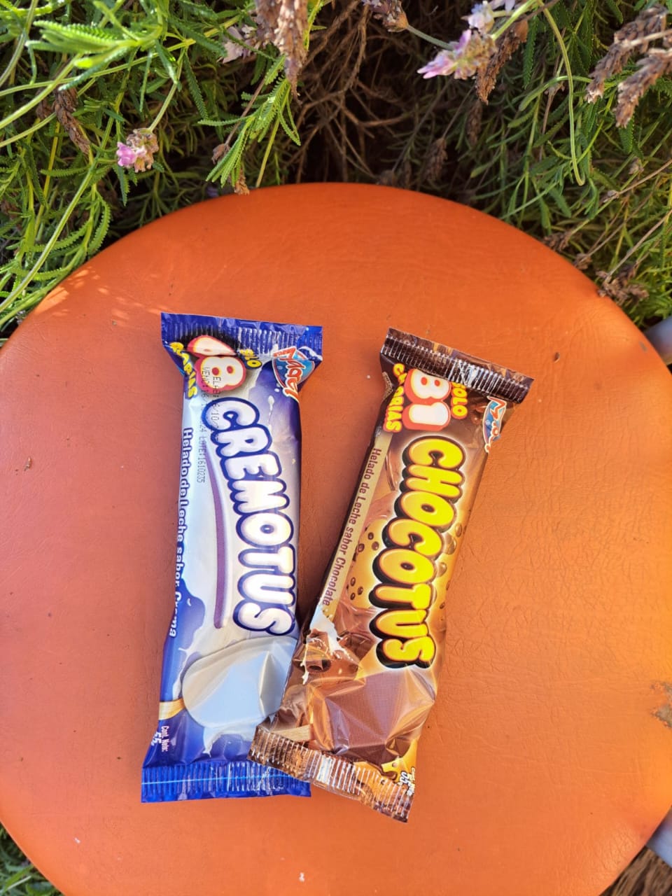 Caja de paletas Mix Chocotus - Cremotus / 55g./Caja Especial/ 30 unidades