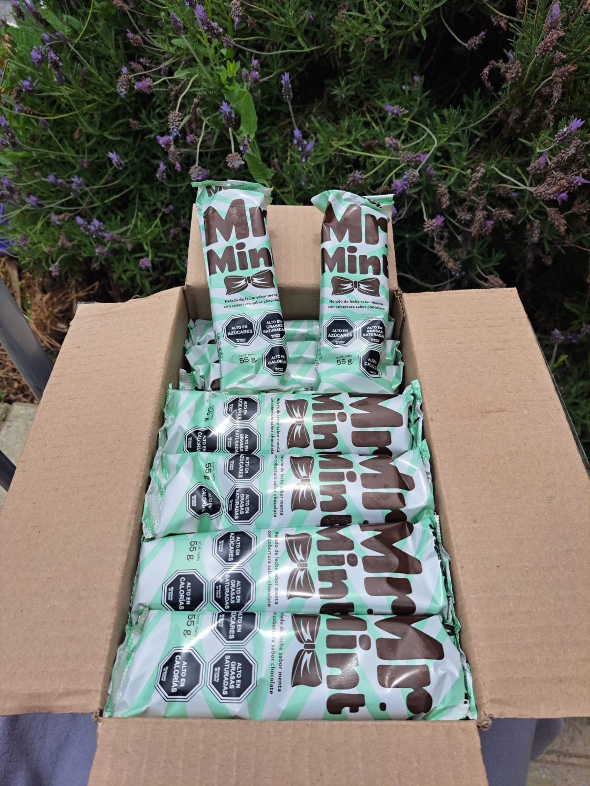 Paleta de Helado MR Mint/ 55g/ 30 unidades